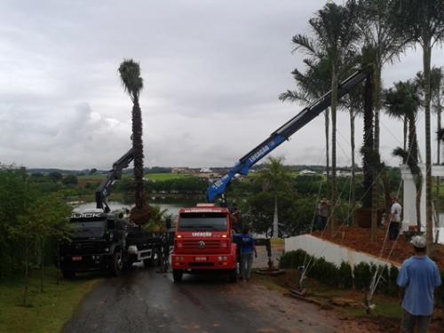 Projetos Realizados